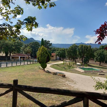 Casa Da Vinha Villa Castelo Novo Eksteriør billede