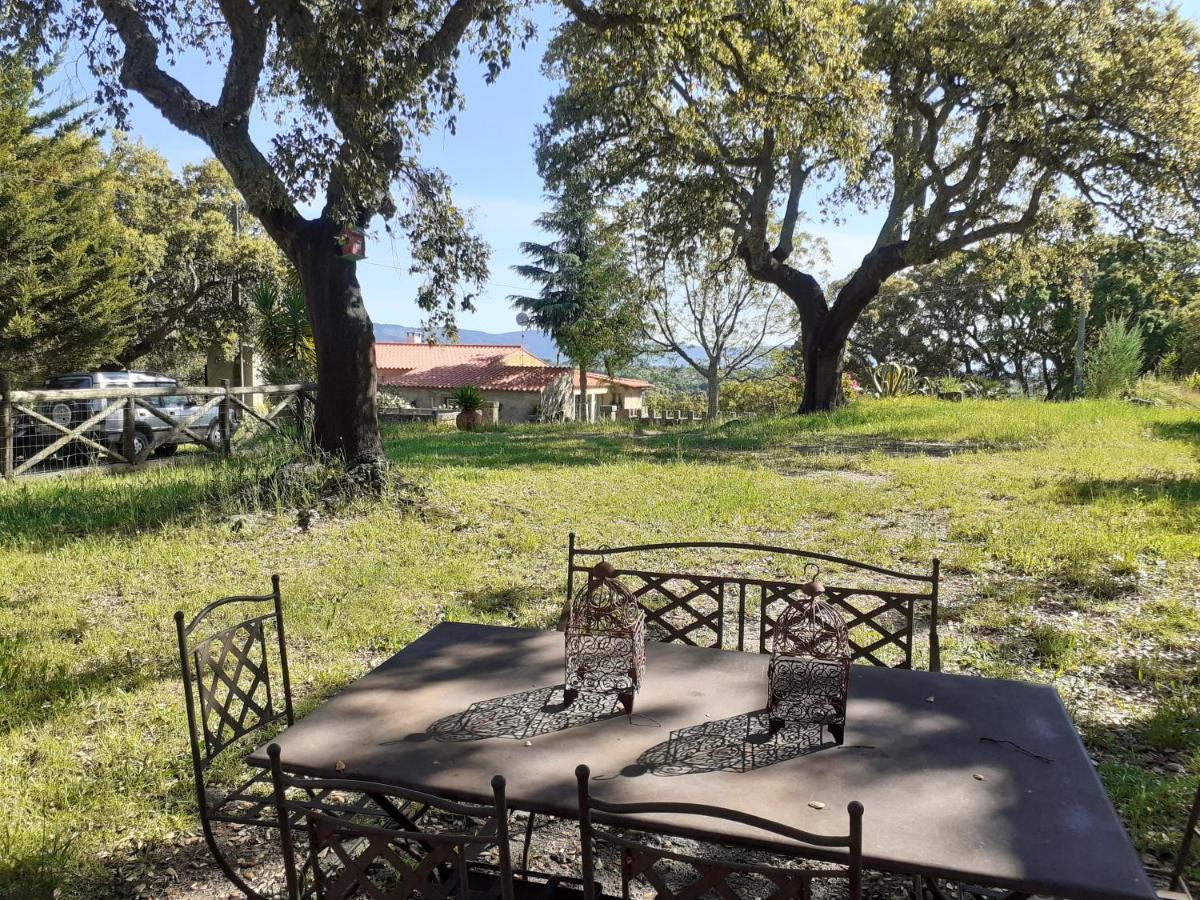 Casa Da Vinha Villa Castelo Novo Eksteriør billede