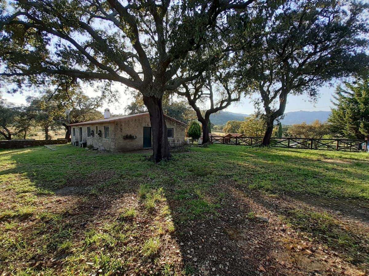 Casa Da Vinha Villa Castelo Novo Eksteriør billede