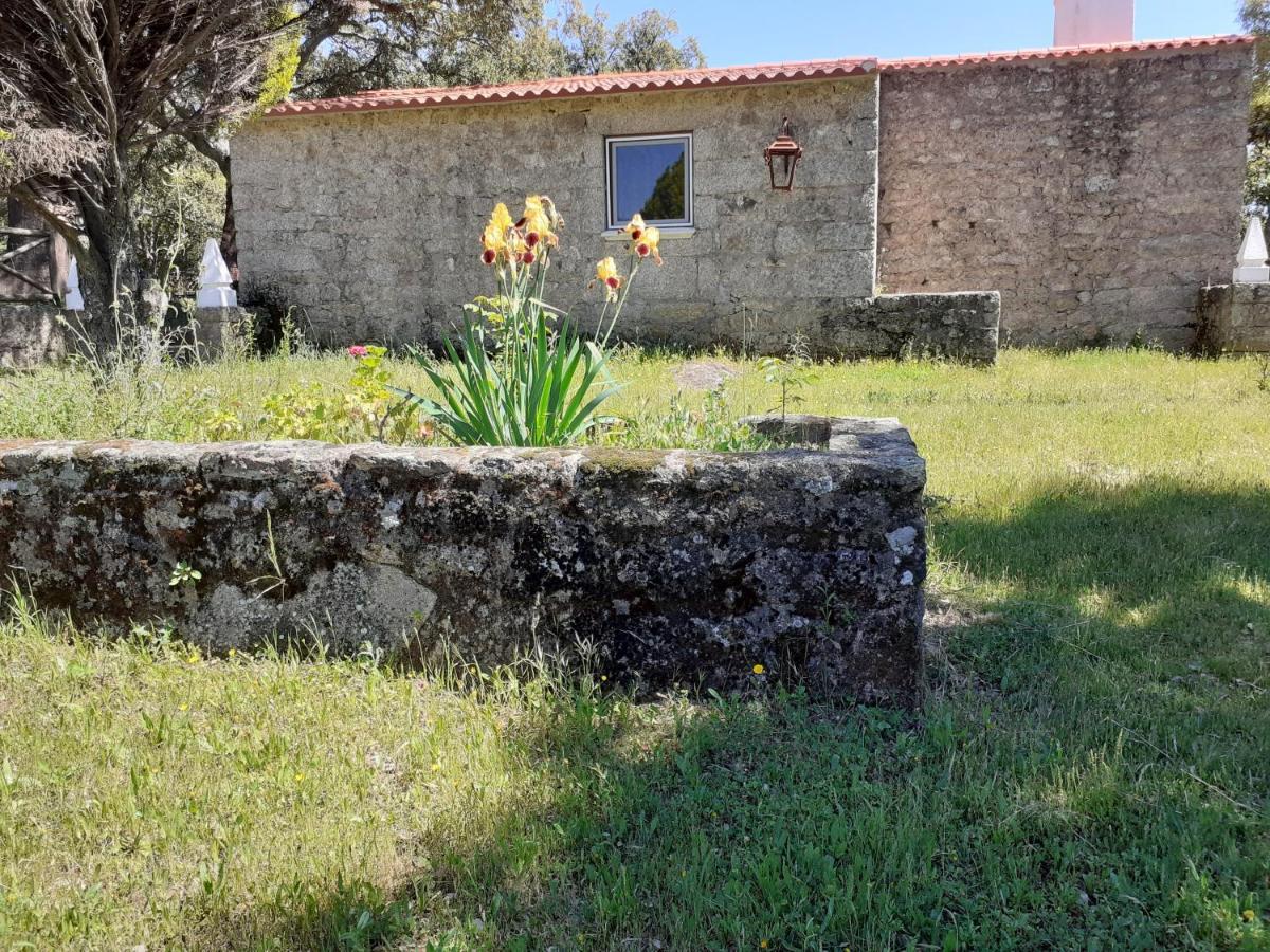 Casa Da Vinha Villa Castelo Novo Eksteriør billede