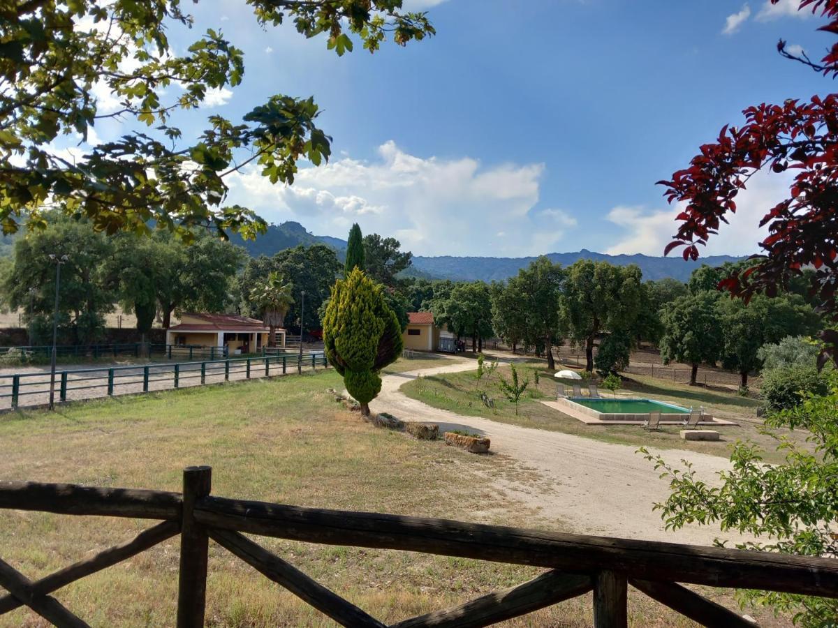 Casa Da Vinha Villa Castelo Novo Eksteriør billede
