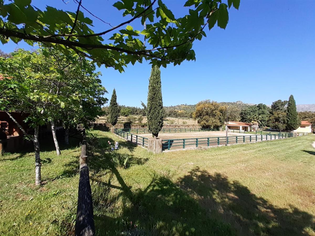 Casa Da Vinha Villa Castelo Novo Eksteriør billede