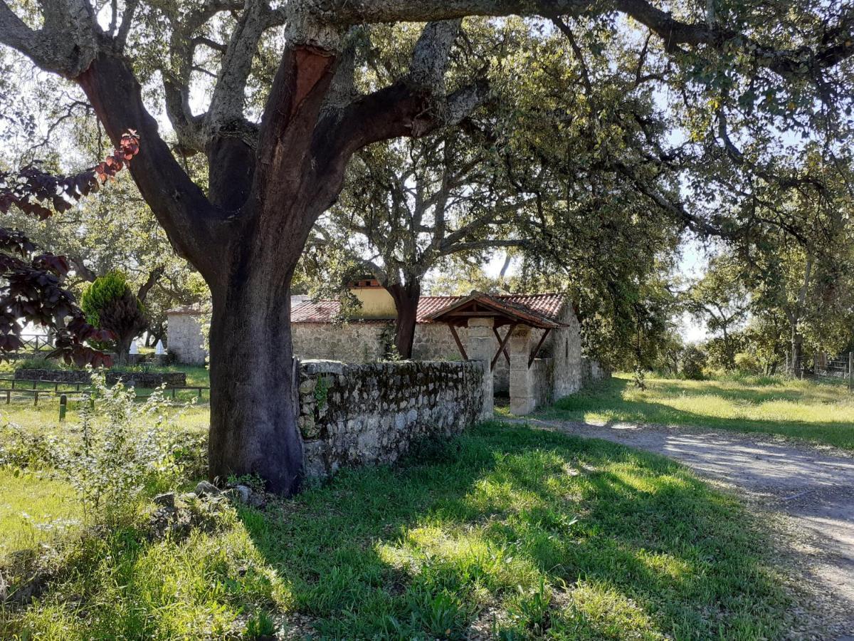 Casa Da Vinha Villa Castelo Novo Eksteriør billede