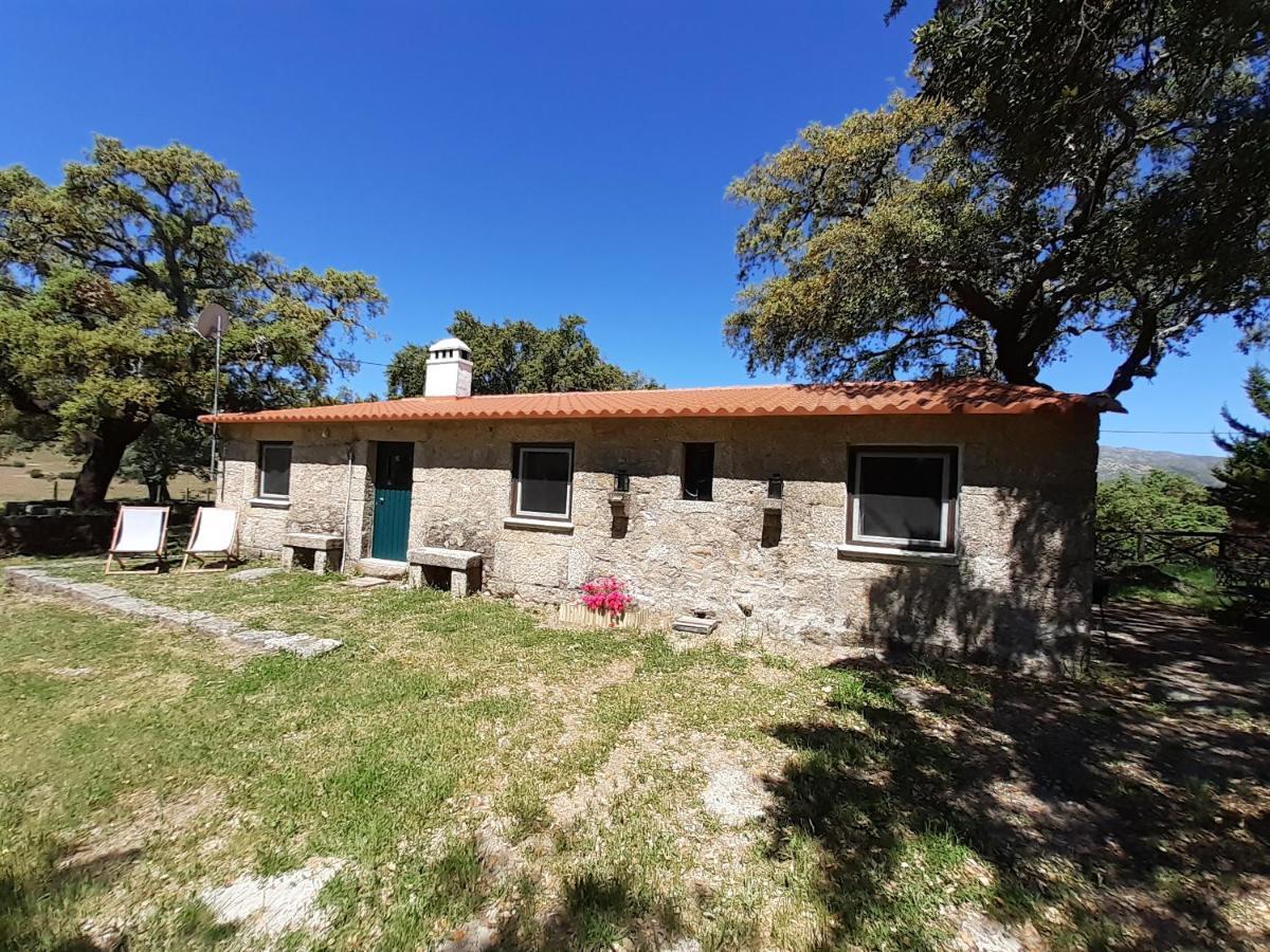 Casa Da Vinha Villa Castelo Novo Eksteriør billede