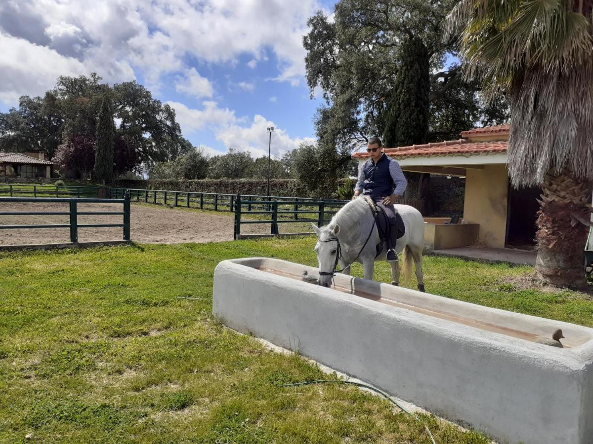 Casa Da Vinha Villa Castelo Novo Eksteriør billede