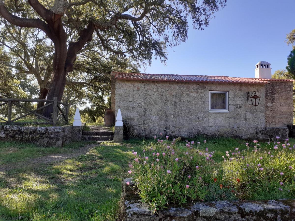 Casa Da Vinha Villa Castelo Novo Eksteriør billede