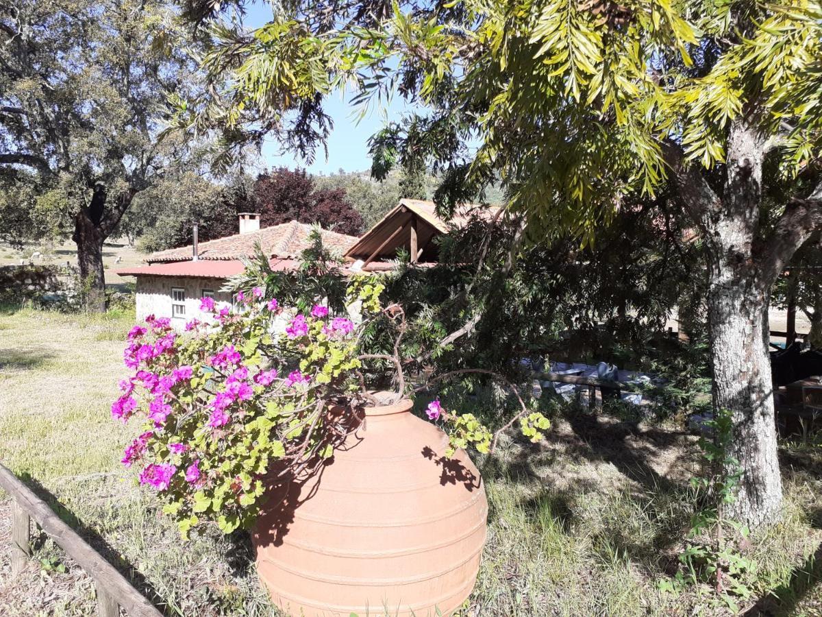Casa Da Vinha Villa Castelo Novo Eksteriør billede