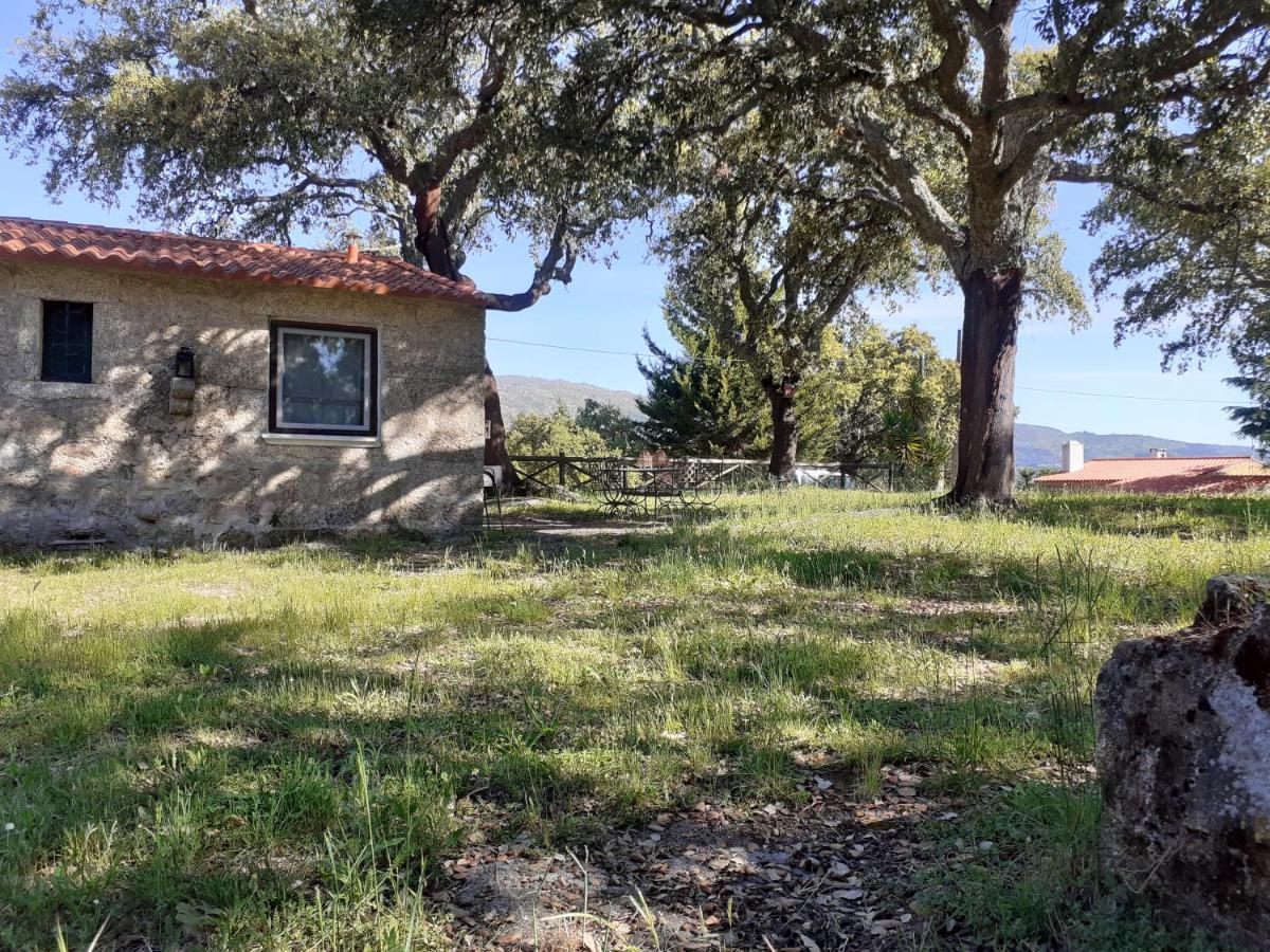 Casa Da Vinha Villa Castelo Novo Eksteriør billede