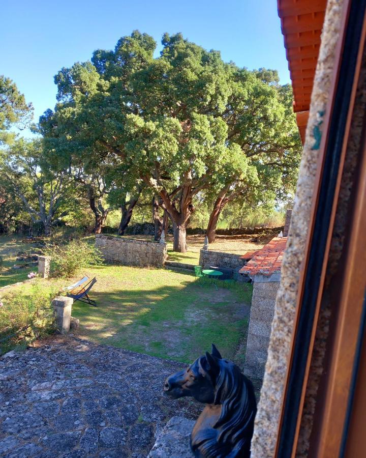 Casa Da Vinha Villa Castelo Novo Eksteriør billede