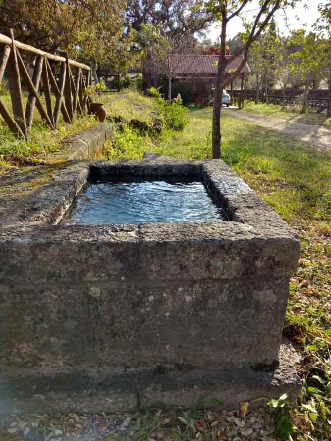 Casa Da Vinha Villa Castelo Novo Eksteriør billede